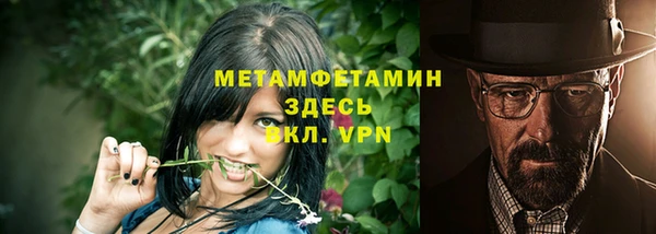 прущие грибы Надым