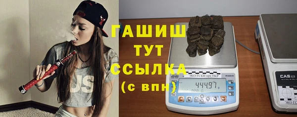 прущие грибы Надым