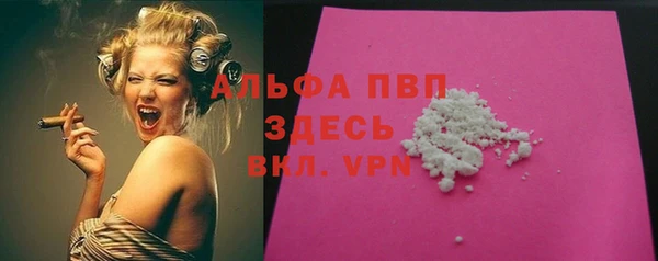 прущие грибы Надым