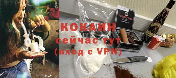 прущие грибы Надым