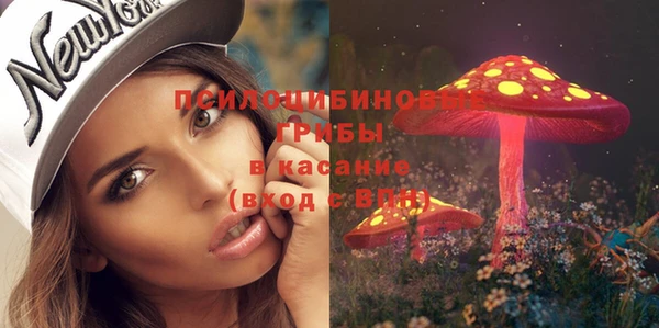 прущие грибы Надым