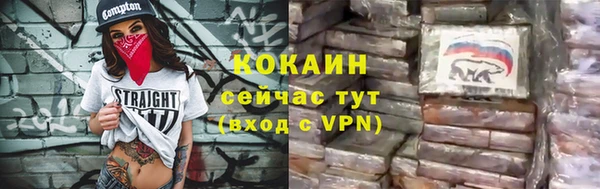 прущие грибы Надым