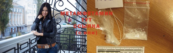 прущие грибы Надым