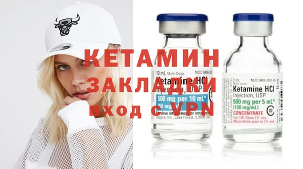 крисы Болотное