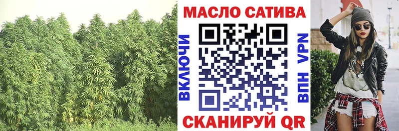 Купить где Лиски ТГК концентрат